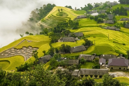 Famous places to watch the golden autumn in Vietnam